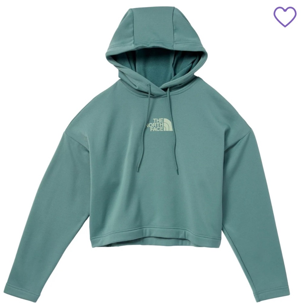 ⭐️NEW⭐️ THE NORTH FACE Horizon Performance Logo Hoodie Size Medium